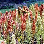 agriculture, peche, minerais, tourisme